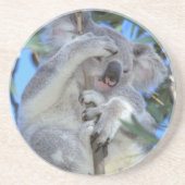 Dessous De Verre En Grès Australie, Koala Phasclarctos Cinereus) (Devant)