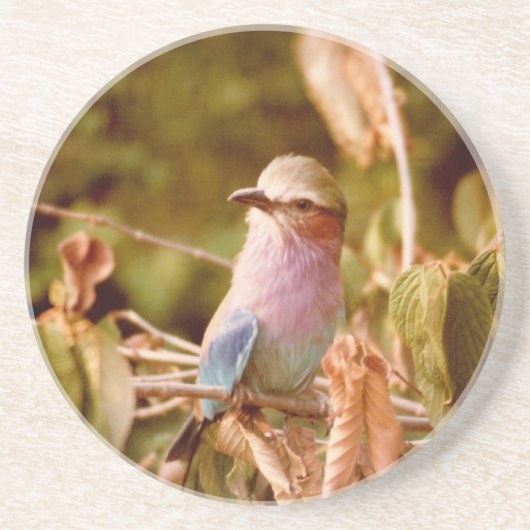 Dessous De Verre En Grès Aviaire (Devant)