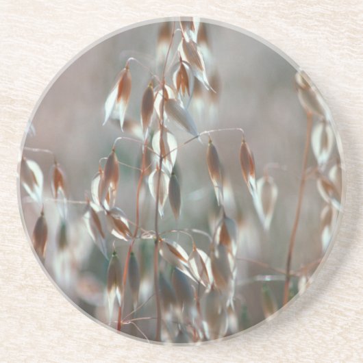 Dessous De Verre En Grès Avoine Mûre (Avena Sativa) Gros Plan. Ceres, Bolan (Devant)