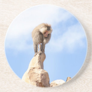 Dessous De Verre En Grès Babouin singe au sommet d'une montagne