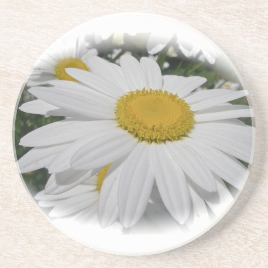 Dessous De Verre En Grès Baise blanche (Devant)