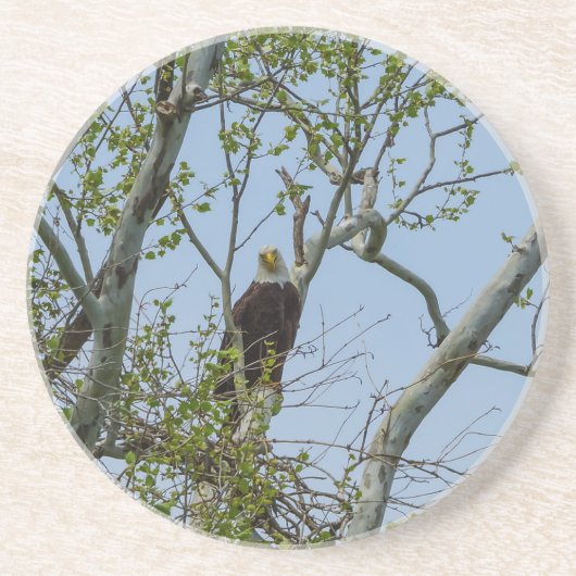Dessous De Verre En Grès Bald Eagle Smile (Devant)