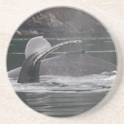 Dessous De Verre En Grès baleines (Devant)
