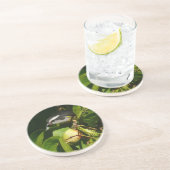 Dessous De Verre En Grès Bananaquit Bird Mange Photographie tropicale (Côté)