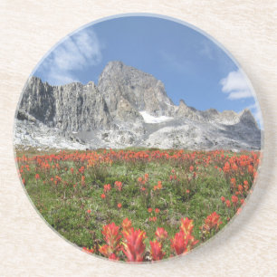 Dessous De Verre En Grès Banner Peak Fleurs sauvages - Ansel Adams Wilderne