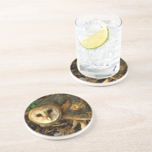 Dessous De Verre En Grès Barn Owl (Côté)