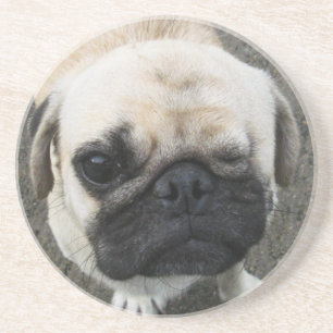 Dessous De Verre En Grès Bauwk ... Mignonne Chien Chien Chien Carlin... Tha