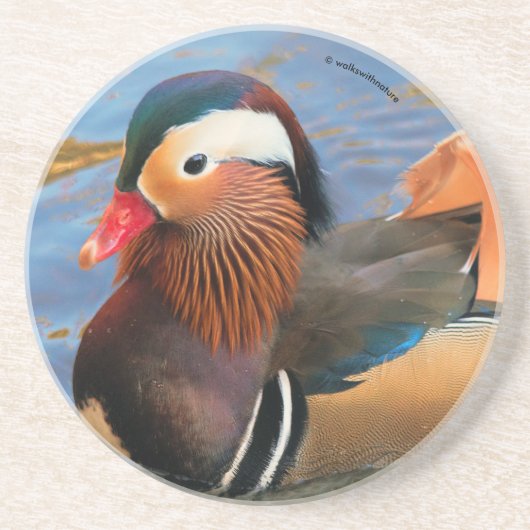 Dessous De Verre En Grès Beau canard Mandarin dans l'étang (Devant)