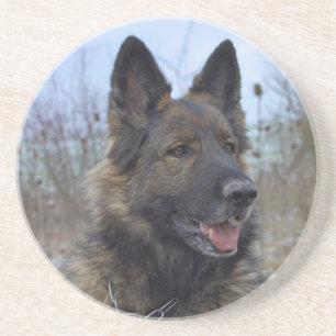Dessous De Verre En Grès beau chiot berger allemand noir et feu