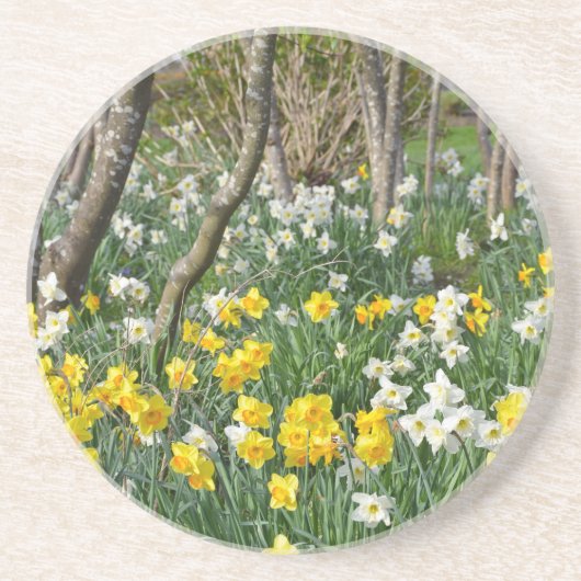 Dessous De Verre En Grès Beau jardin de jonquilles de printemps (Devant)