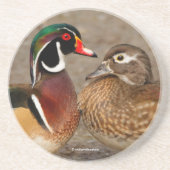 Dessous De Verre En Grès Beau moment de contact entre des canards en bois (Devant)