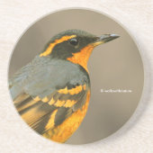 Dessous De Verre En Grès Beau oiseau-chanteur à gorge variée dans l'arbre (Devant)