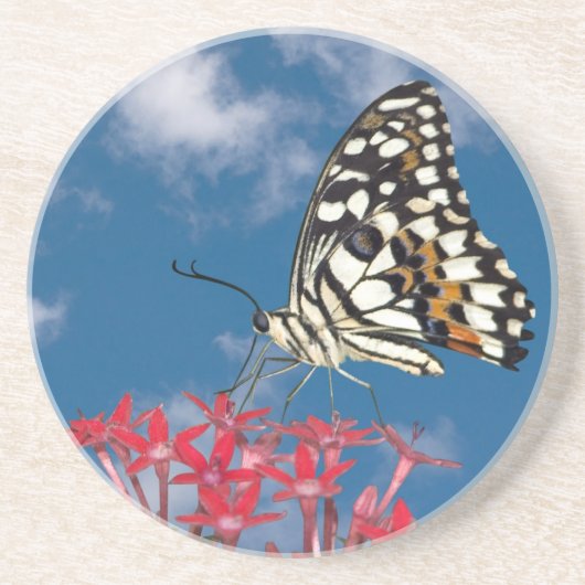 Dessous De Verre En Grès Beau Papillon (Devant)