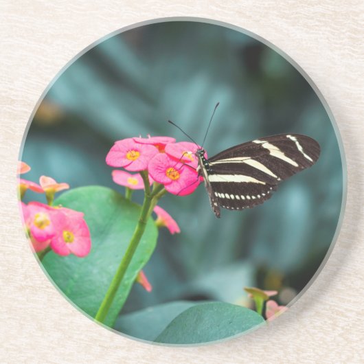 Dessous De Verre En Grès Beau papillon sur une fleur rose (Devant)