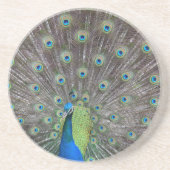 Dessous De Verre En Grès Beau Peacock (Devant)
