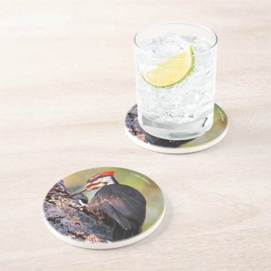 Dessous De Verre En Grès Beau pic pilé sur l'arbre (Côté)