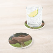 Dessous De Verre En Grès Beautés de bain (Côté)