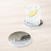 Dessous De Verre En Grès Beautés dormantes (Côté)