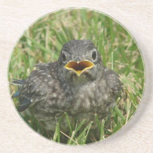 Dessous De Verre En Grès Bébé bleu (Devant)