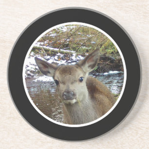 Dessous De Verre En Grès Bébé Cerf Mignon Faon Adorable Pose de Forêt de Bo