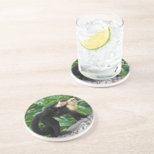 Dessous De Verre En Grès Bébé de transport de singe adulte de capucin sur