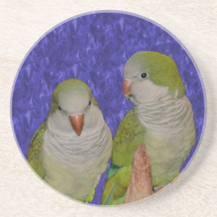 Dessous De Verre En Grès Bébé Quaker Parrots Animal