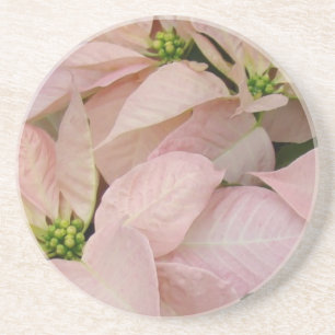 Dessous De Verre En Grès Bébé rose Poinsettia
