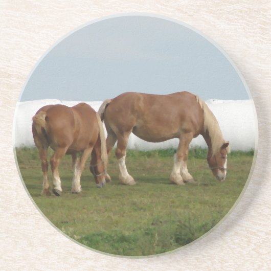 Dessous De Verre En Grès Belgique (Devant)