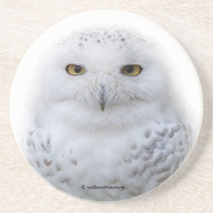Dessous De Verre En Grès Belle, Dreamy et Serene Snowy Owl