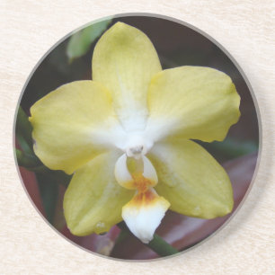 Dessous De Verre En Grès Belle orchidée jaune