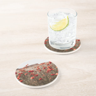 Dessous De Verre En Grès belles fleurs de coquelicot