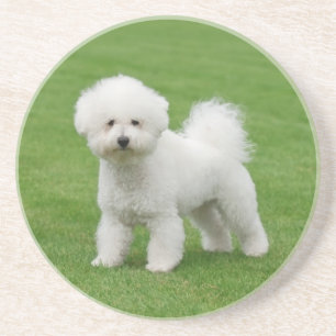 Dessous De Verre En Grès Bichon Frise