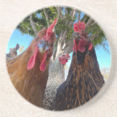 Dessous De Verre En Grès Birds with Attitude Sandstone Coaster (Devant)