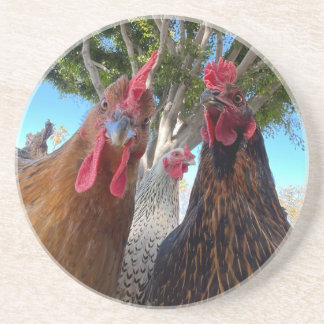 Dessous De Verre En Grès Birds with Attitude Sandstone Coaster