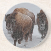 Dessous De Verre En Grès Bison de Yellowstone (Devant)