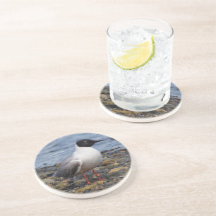 Dessous De Verre En Grès Bizarre de mer à la plage de Bonaparte