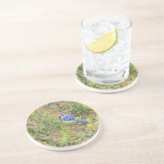 Dessous De Verre En Grès Blue Jay sur Southern Wax Myrtle (Côté)