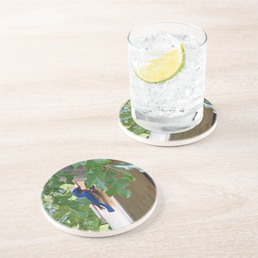 Dessous De Verre En Grès Bluebird à la maison (Côté)