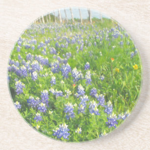 Dessous De Verre En Grès Bluebonnets côté route