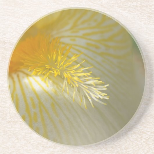 Dessous De Verre En Grès Bonjour Iris ! (Devant)