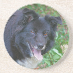 Dessous De Verre En Grès Bordure souriante Collie Chien Boire Dessous de ve