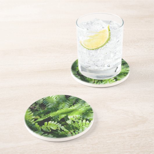 Dessous De Verre En Grès Botanique de fèves vertes de printemps (Côté)