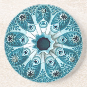 Dessous De Verre En Grès Botryllus Polycyclus Ernst Haeckel Fine Art