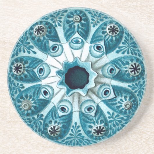 Dessous De Verre En Grès Botryllus Polycyclus Ernst Haeckel Fine Art (Devant)