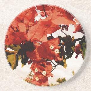 Dessous De Verre En Grès Bougainvillée