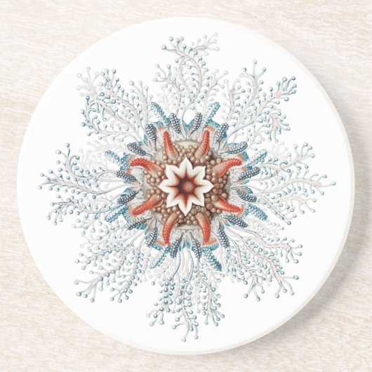 Dessous De Verre En Grès Bouton bleu grès de la créature marine (Devant)