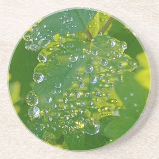 Dessous De Verre En Grès Boutons cool Sur Feuille Verte (Devant)