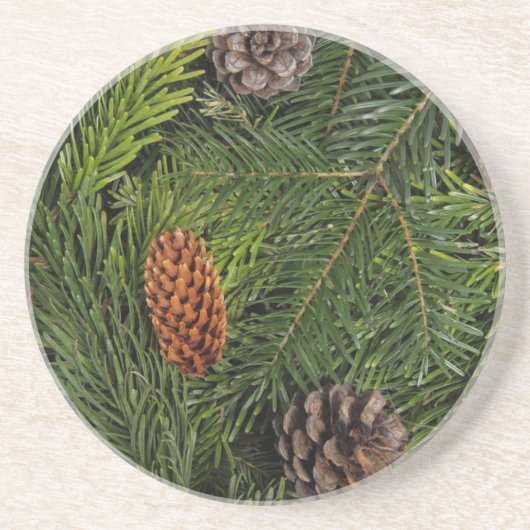 Dessous De Verre En Grès Branches de l'arbre de Noël (Devant)