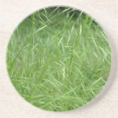 Dessous De Verre En Grès Bromus tectorum (Devant)