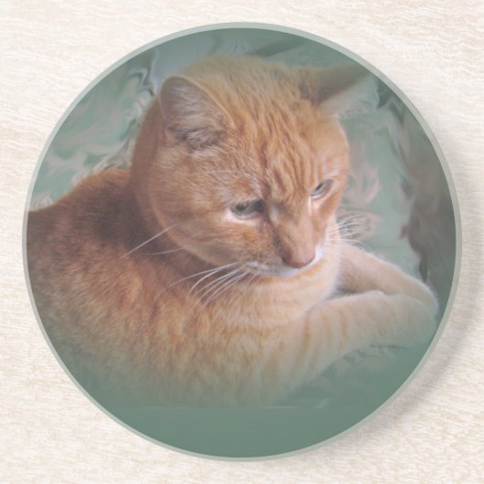 Dessous De Verre En Grès Bubba l'Orange Tabby Tomcat (Devant)